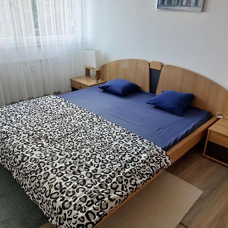 3 Zimmer Apartment In Saint Louis, Nahe Euroairport Exterior foto
