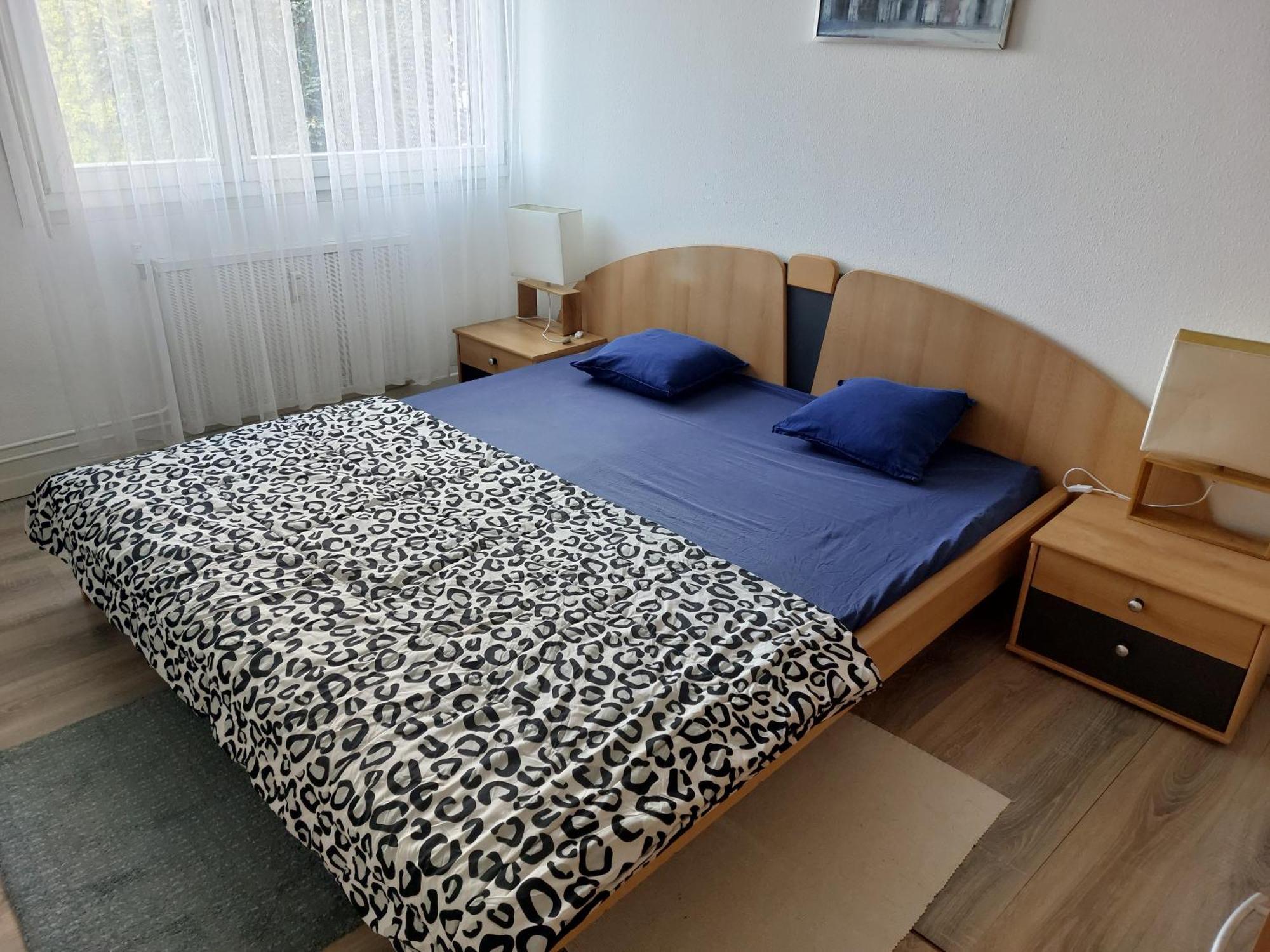 3 Zimmer Apartment In Saint Louis, Nahe Euroairport Exterior foto